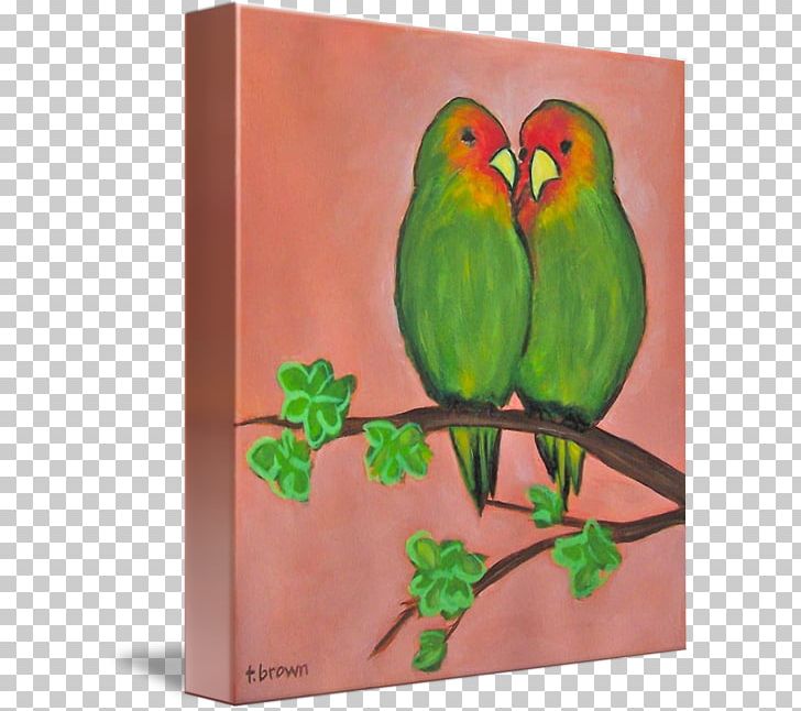 Lovebird Watercolor Painting Parakeet Gallery Wrap PNG, Clipart, Acrylic Paint, Acrylic Resin, Art, Beak, Bird Free PNG Download