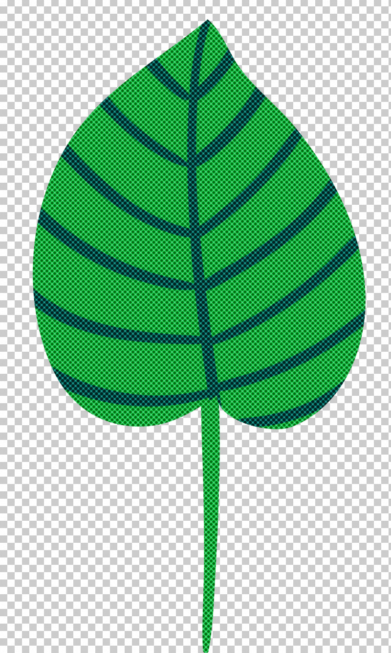 Leaf Plant Stem Photosynthesis Photosynthetic Pigment Petal PNG, Clipart, Biological Pigment, Biology, Flower, Green, Leaf Free PNG Download