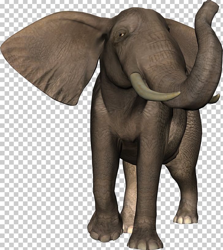 African Elephant Indian Elephant Animal Lion PNG, Clipart, 3d Computer Graphics, African Elephant, Animal, Animals, Elephant Free PNG Download