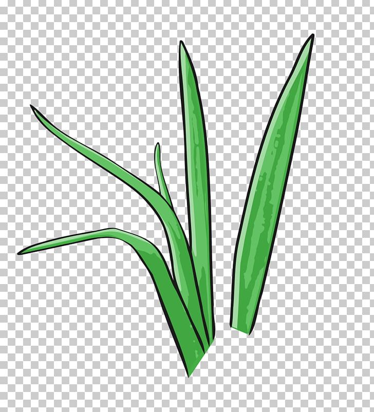 Animals Leaf Grass PNG, Clipart, Animals, Drawing, Flower, Graphic Design, Grass Free PNG Download