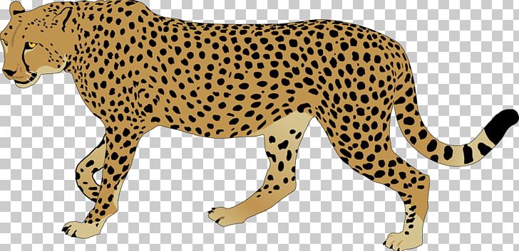 Cheetah Leopard PNG, Clipart, Animal Figure, Big Cats, Carnivoran, Cartoon, Cat Like Mammal Free PNG Download