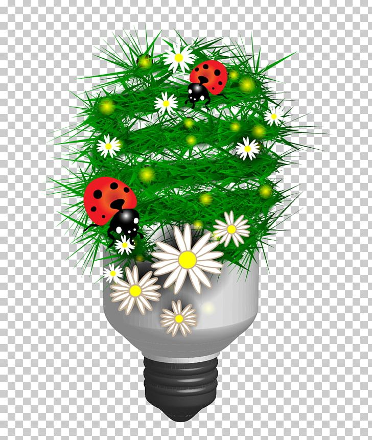 Ecology Euclidean Green PNG, Clipart, Christmas Lights, Encapsulated Postscript, Environmental Protection, Flower, Green Free PNG Download