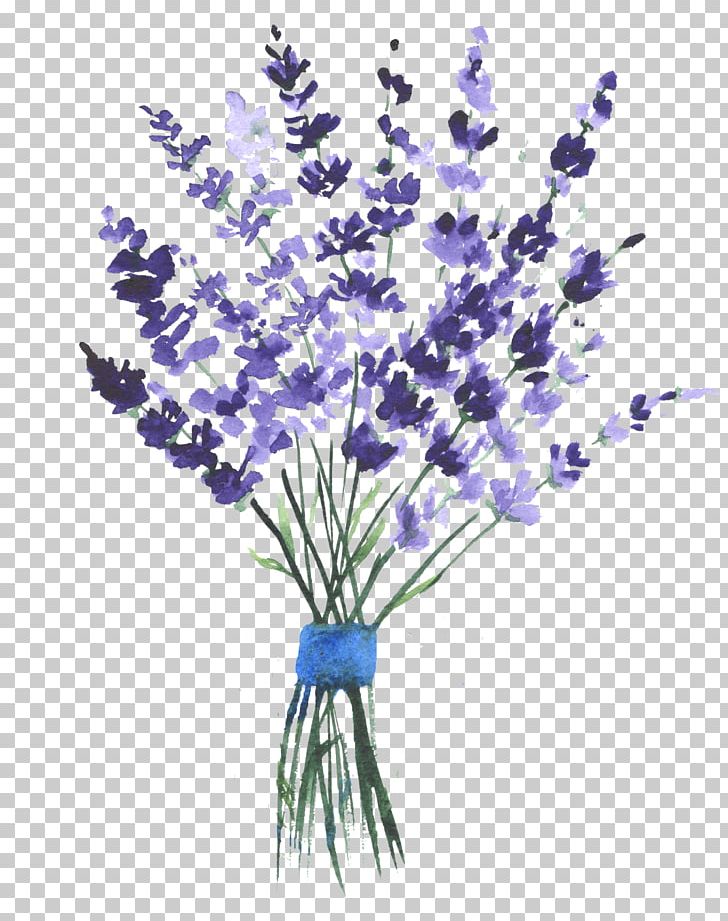 English Lavender Watercolor Painting Drawing PNG, Clipart, Art, Branch, Clip, Colourbox, Cut Flowers Free PNG Download