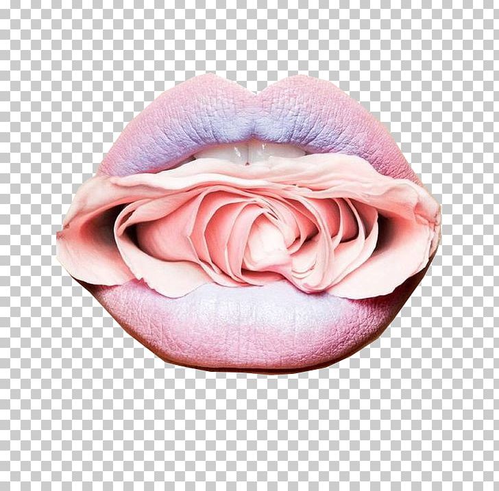 Lipstick Rose Color Cosmetics PNG, Clipart, Beauty Festival, Change, Color, Eye, Eye Shadow Free PNG Download