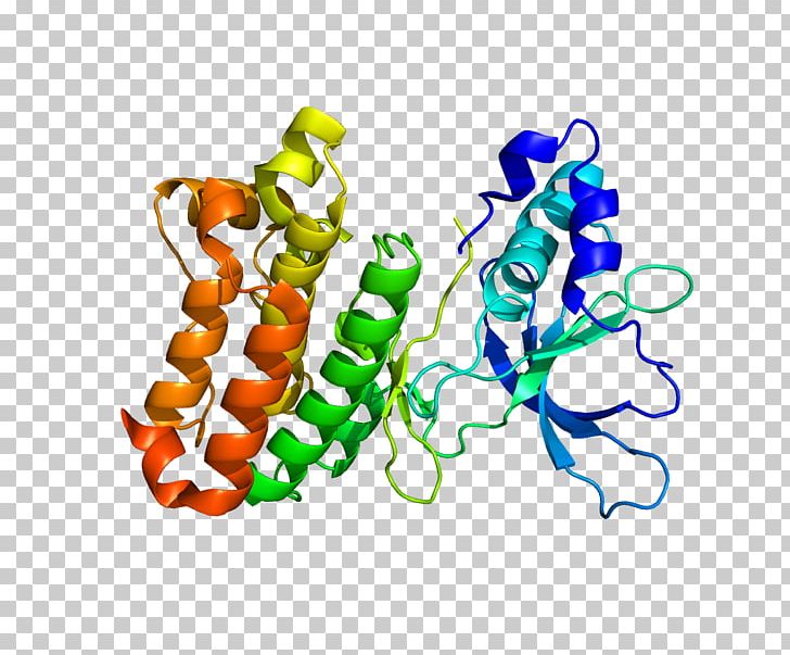Protein EPHA7 Ephrin Receptor EPH Receptor A2 PNG, Clipart, Epha7, Eph Receptor A2, Ephrin, Ephrin B2, Ephrin Receptor Free PNG Download