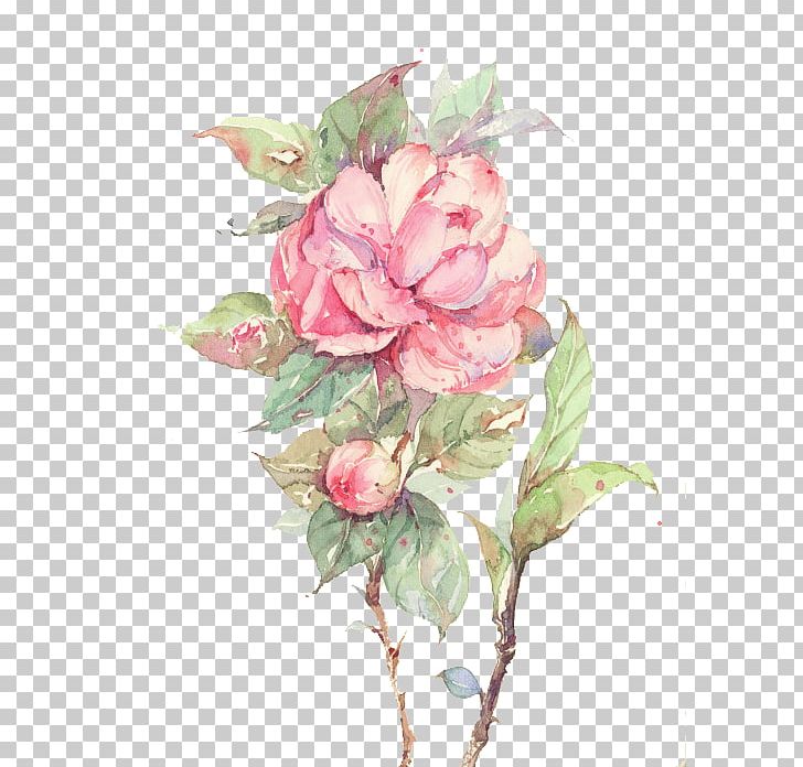 Flower Pink PNG, Clipart, Artificial Flower, Camellia, Color, Flower Arranging, Flowers Free PNG Download