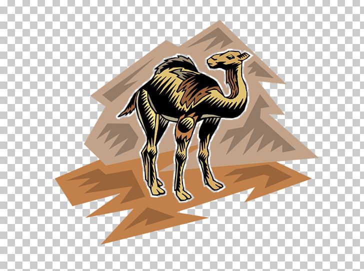 Camel PhotoScape PNG, Clipart, Animal, Camel, Camel Like Mammal, Computer Icons, Digital Image Free PNG Download