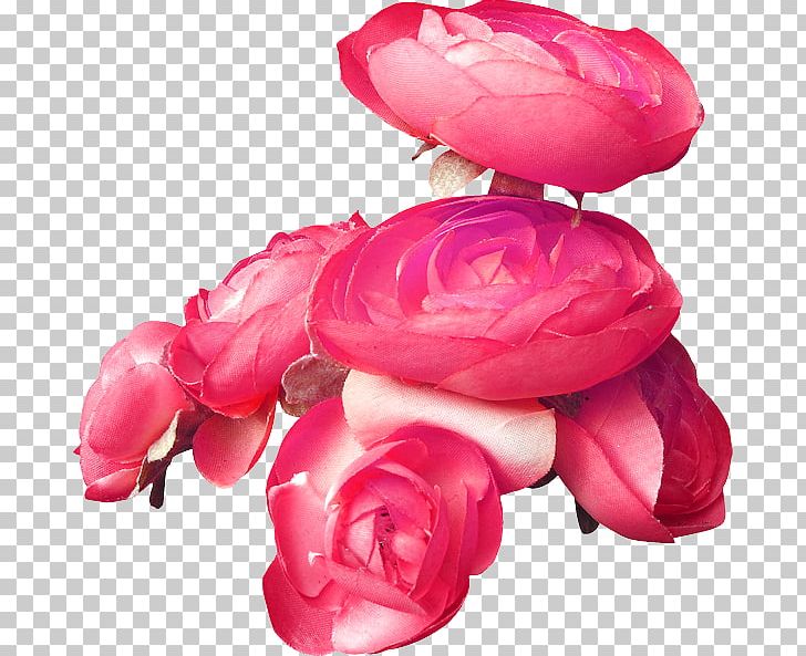 Garden Roses Blue Rose Pink PNG, Clipart, Blue, Blue Flower, Blue Rose, Color, Flower Free PNG Download