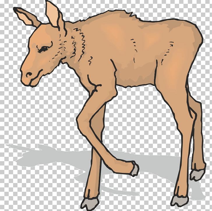 Mule Elk Moose Antler Reindeer PNG, Clipart, Antelope, Antler, Cartoon, Cattle, Cattle Like Mammal Free PNG Download