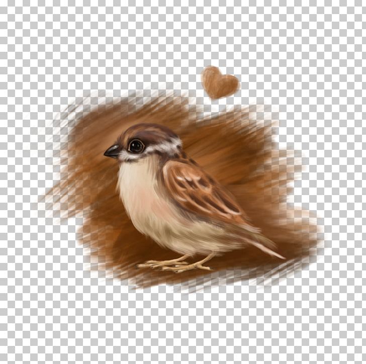 Sparrow Bird Drawing Love PNG, Clipart, Animals, Art, Beak, Bird, Deviantart Free PNG Download