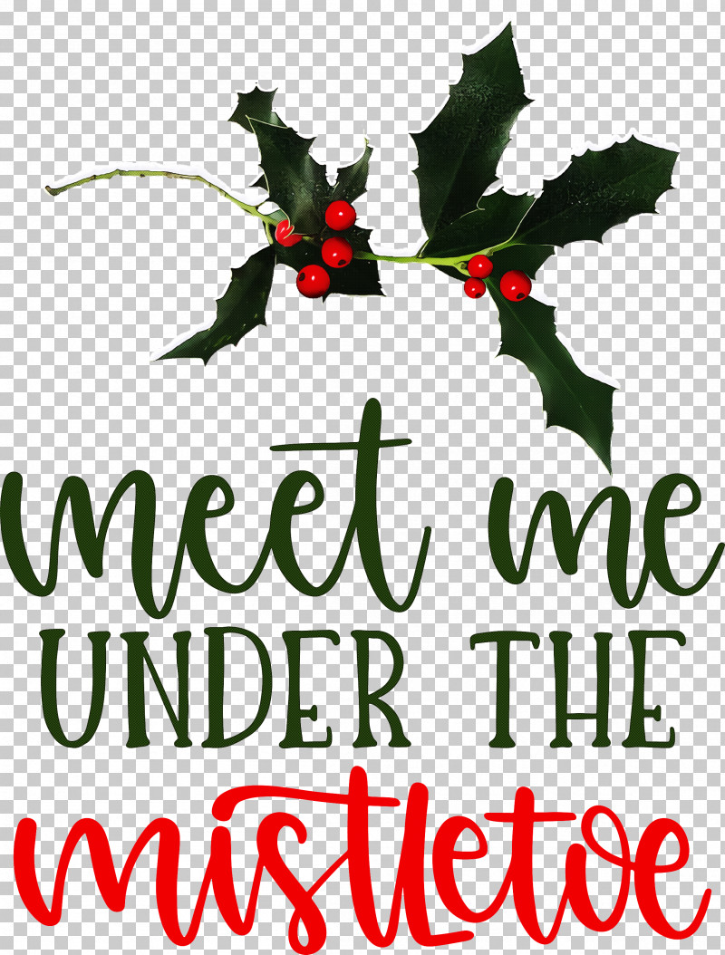 Meet Me Under The Mistletoe Mistletoe PNG, Clipart, Aquifoliaceae, Aquifoliales, Branching, Christmas Day, Flower Free PNG Download