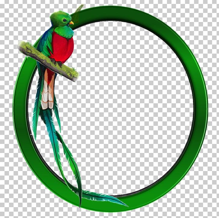 Guatemalan Quetzal Bird Resplendent Quetzal PNG, Clipart, Alkaline Diet, Anhinga, Animal Figure, Animals, Aztec Free PNG Download