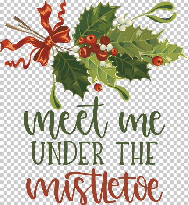 Meet Me Under The Mistletoe Mistletoe PNG, Clipart, Aquifoliales, Branching, Christmas Day, Christmas Ornament, Christmas Ornament M Free PNG Download