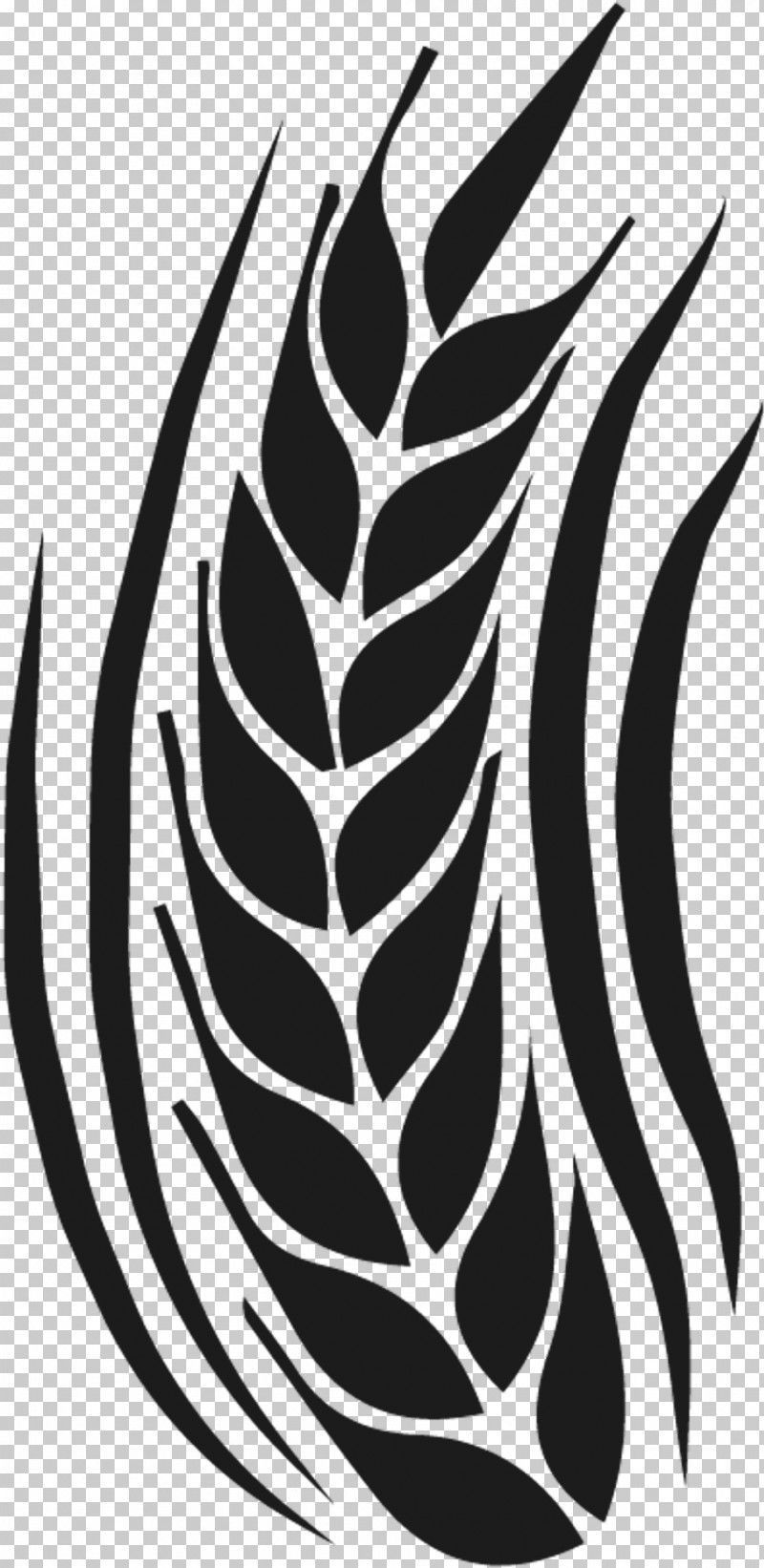 Black-and-white Leaf Pattern Plant Vascular Plant PNG, Clipart, Blackandwhite, Leaf, Plant, Vascular Plant Free PNG Download