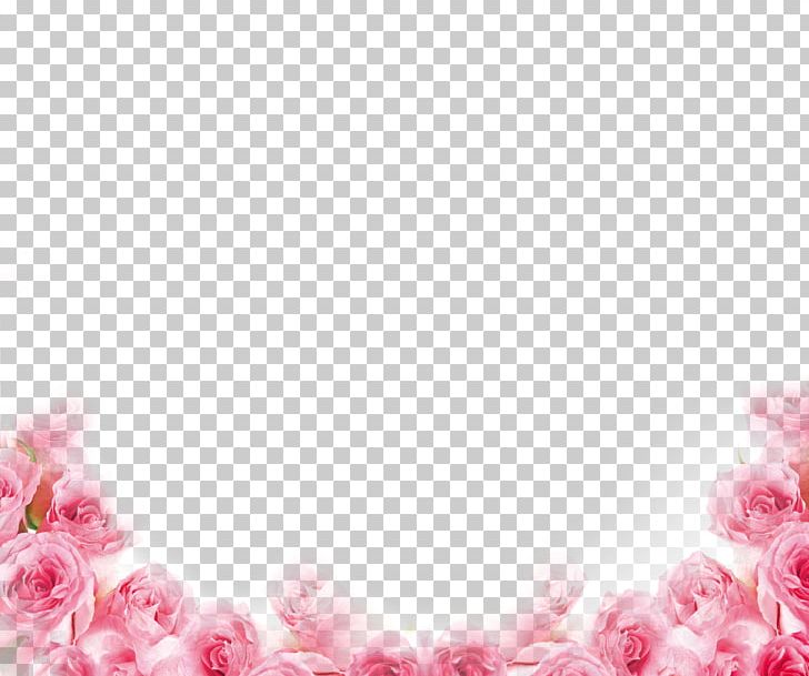 Pink Beach Rose Petal Flower Png Clipart Beach Rose Border Border Frame Certificate Border Download Free