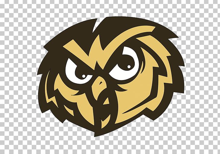 Temple Owls Men's Basketball Temple Owls Football Temple University PNG, Clipart,  Free PNG Download