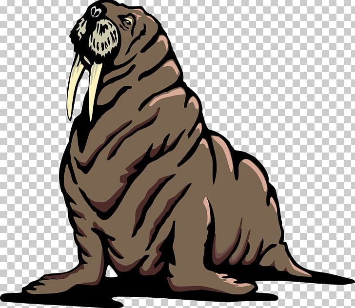 Walrus Free Content PNG, Clipart, Bear, Big Cats, Carnivoran, Cat, Cat Like Mammal Free PNG Download