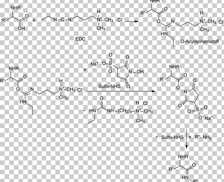Carboxylic Acid N-Hydroxysuccinimide Carbodiimide N-Hydroxysulfosuccinimide Sodium Salt Ester PNG, Clipart, Acid, Angle, Area, Black And White, Diagram Free PNG Download