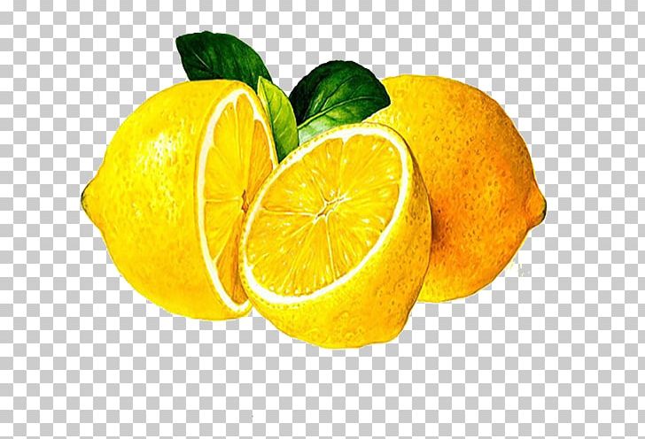 Clementine Lemon Mandarin Orange Lime PNG, Clipart, Bitter Orange, Citric Acid, Citron, Citrus, Food Free PNG Download