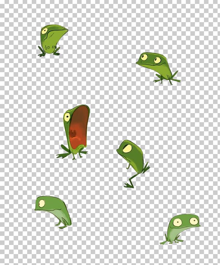 Frog Drawing Model Sheet Illustration PNG, Clipart, Amphibian, Angle, Animals, Animals I Froggy, Cartoon Free PNG Download