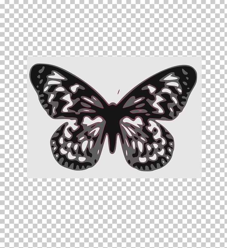 Monarch Butterfly Papillon Dog PNG, Clipart, Art, Black And White, Brush Footed Butterfly, Butterflies And Moths, Butterfly Free PNG Download