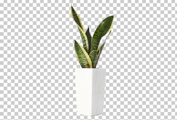 Plant Computer File PNG, Clipart, Adobe Illustrator, Animals, Bonsai, Climbing Tiger, Computer File Free PNG Download