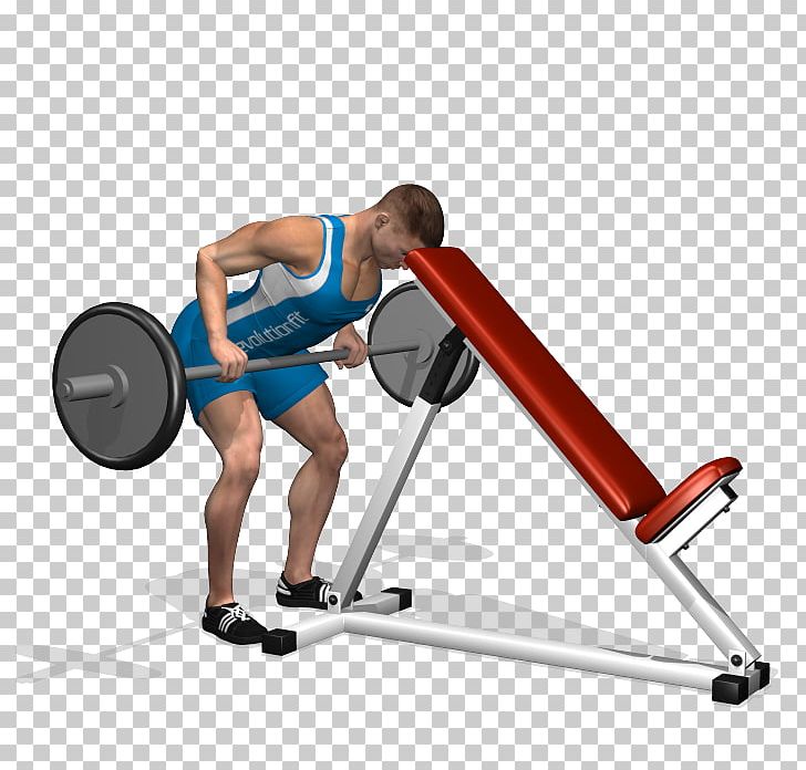Weight Training Barbell Latissimus Dorsi Muscle Human Back PNG, Clipart, Angle, Arm, Balance, Barbell, Exercise Free PNG Download