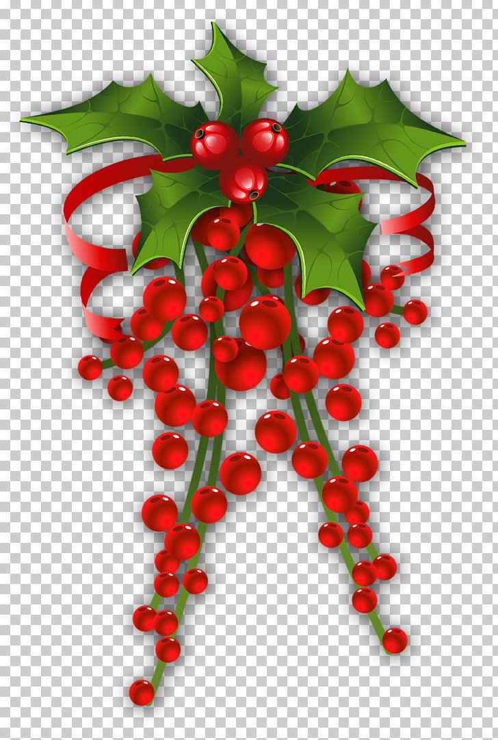 Christmas Decoration Mistletoe PNG, Clipart, Aquifoliaceae, Aquifoliales, Art, Berry, Branch Free PNG Download