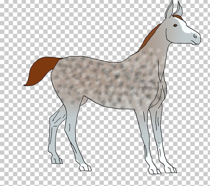 Mule Dog Breed Foal Mustang Donkey PNG, Clipart, Animal Figure, Breed, Carnivoran, Cartoon, Dog Free PNG Download