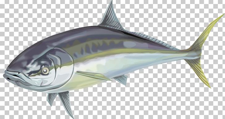 Swordfish Thunnus Oily Fish Mackerel PNG, Clipart, Animal, Animals, Billfish, Bonito, Bony Fish Free PNG Download