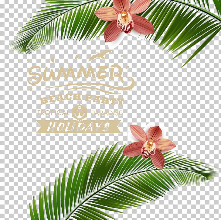 Beach Poster PNG, Clipart, Arecales, Beach, Branch, Encapsulated Postscript, Flower Free PNG Download