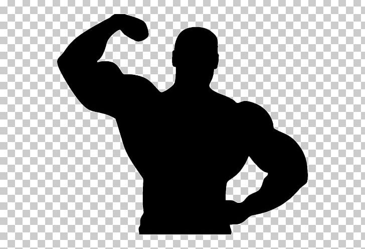 Fitness Centre Silhouette Bodybuilding Physical Fitness PNG, Clipart, Animals, Arm, Bodybuilding, Cartoon, Exercise Free PNG Download