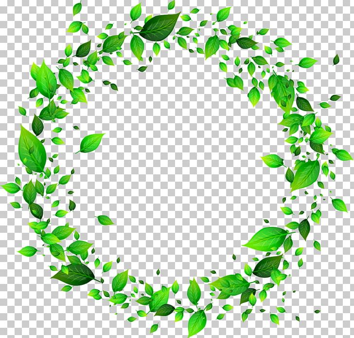 Frames PNG, Clipart, Adobe Flash Player, Artwork, Branch, Circle, Computer Graphics Free PNG Download