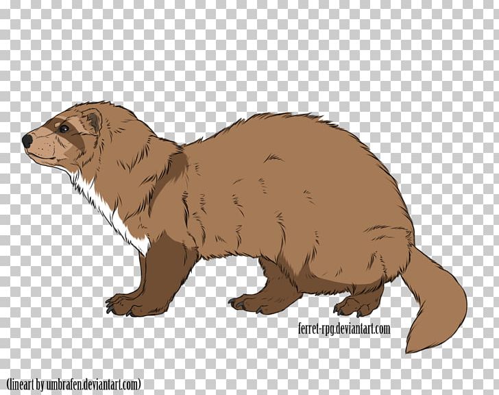 Mustelids Beaver Marmot Whiskers Snout PNG, Clipart, Animal, Animal Figure, Bear, Beaver, Carnivoran Free PNG Download