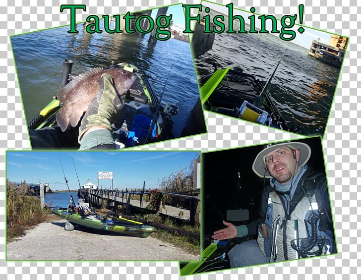 Kayak Fishing Hobby Plastic Cape May PNG, Clipart, Advertising, Cape May, Collage, Fauna, Fishing Free PNG Download