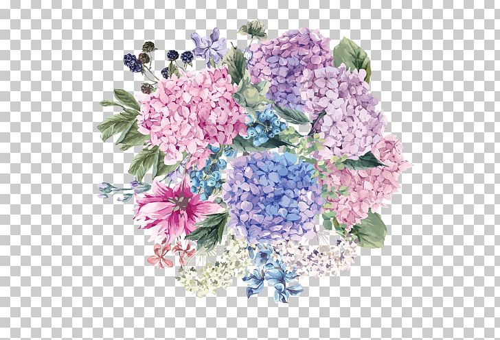 Hydrangea Petiolaris Wedding Invitation Flower Blossom PNG, Clipart, Artificial Flower, Blueberry, Botany, Cornales, Curd Free PNG Download