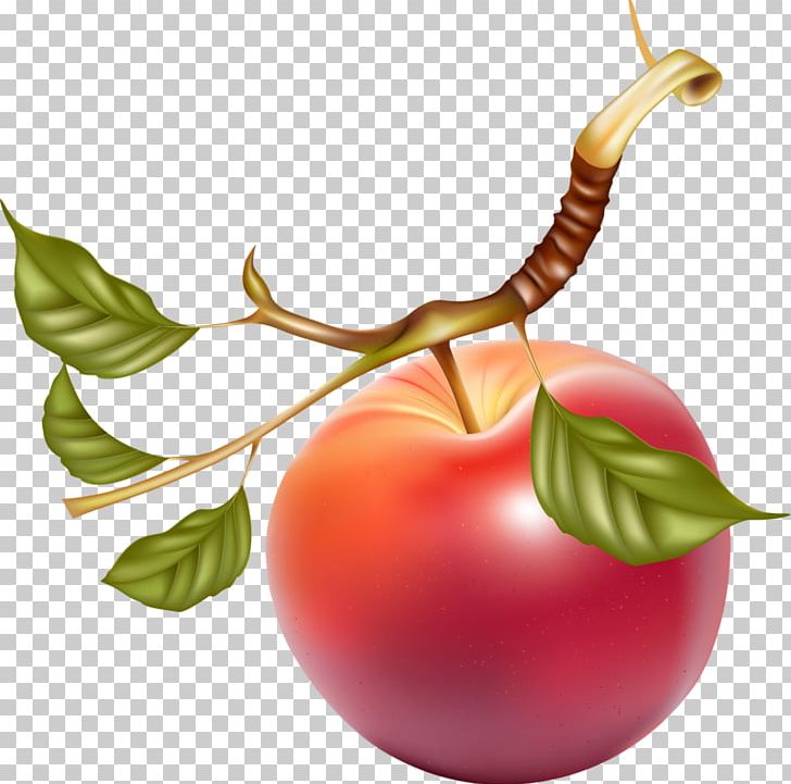 Juice Apple Fruit PNG, Clipart, Apple, Apple Fruit, Apple Logo, Apple Tree, Berry Free PNG Download