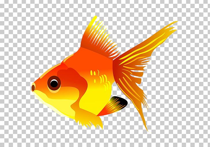 Pet Goldfish Cartoon PNG, Clipart, Animals, Aquarium, Bony Fish, Cartoon, Fauna Free PNG Download