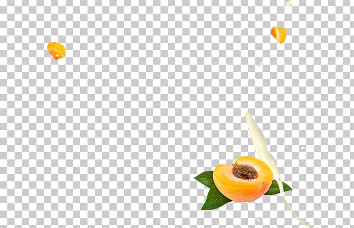 Food Yoghurt Fruit Snack PNG, Clipart, Apricot, Blueberry, Computer Wallpaper, Flora, Flower Free PNG Download