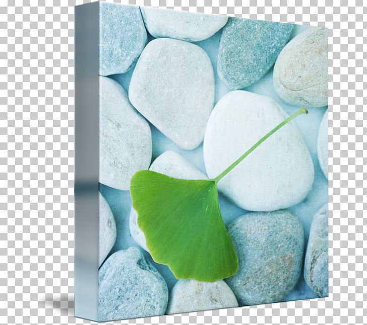 Petal Turquoise Photographic Printing Gemstone Kind PNG, Clipart, Aqua, Blue, Flower, Gemstone, Gingko Free PNG Download