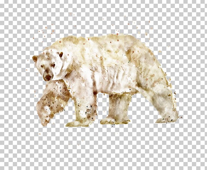 Polar Bear American Black Bear Watercolor Painting Brown Bear PNG, Clipart, American Black Bear, Animal, Animals, Bear, Brown Bear Free PNG Download