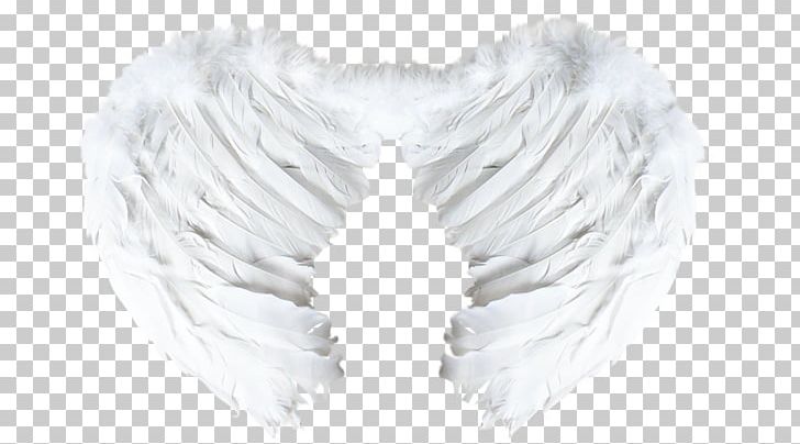 Wing Blogger Feather PNG, Clipart, Abstract And Concrete, Atom, Blog, Blogger, Conflagration Free PNG Download