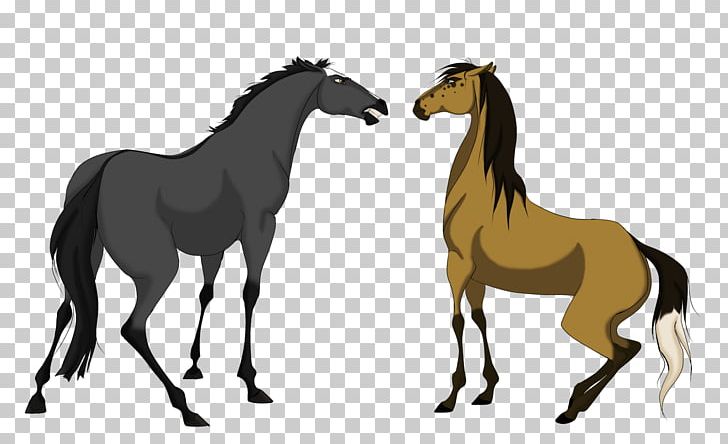 Mustang Foal Stallion Mare Halter PNG, Clipart,  Free PNG Download