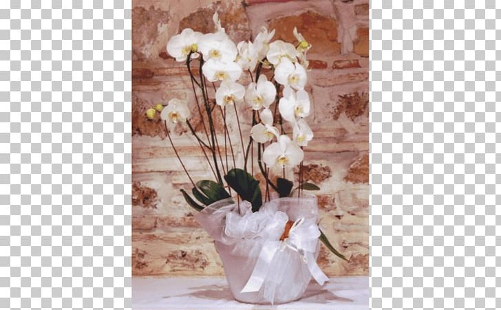 Rieti Floral Design Flower Floristry Interflora PNG, Clipart, Addobbi Floreali, Collectable Trading Cards, Figurine, Floral Design, Floristry Free PNG Download