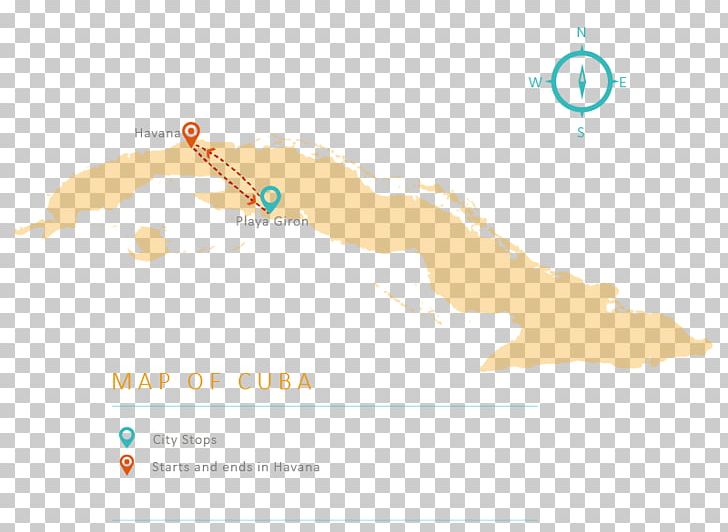 Varadero José Martí International Airport Cayo Largo Del Sur World Map PNG, Clipart, Beach, Brand, Cuba, Diagram, Guidebook Free PNG Download