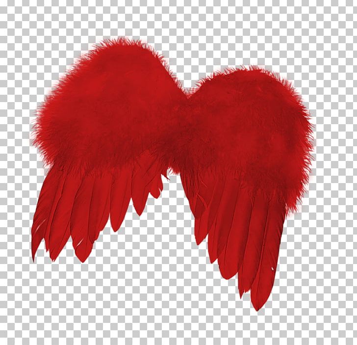 Wing PNG, Clipart, Angel Wing, Blog, Drawing, Feather, Fur Free PNG Download
