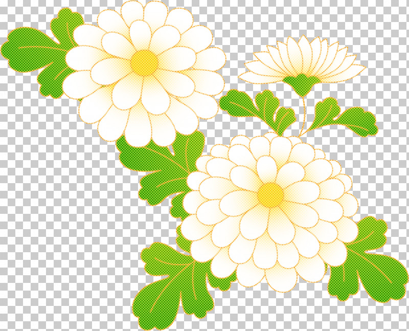 Chrysanthemum Chrysanths PNG, Clipart, Artificial Flower, Chrysanthemum, Chrysanths, Common Daisy, Cut Flowers Free PNG Download