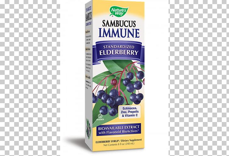 Elder Dietary Supplement Extract Berry Shrub PNG, Clipart, 8 Oz, Berry, Blueberry Tea, Common Cold, Coneflower Free PNG Download