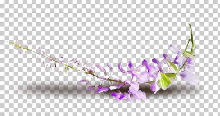 Flower Petal Desktop Filename Extension PNG, Clipart, Blossom, Branch, Cicekler, Computer Wallpaper, Csaba Fecske Free PNG Download
