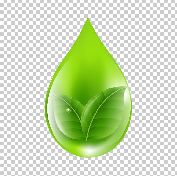 Green PNG, Clipart, Depositphotos, Encapsulated Postscript, Extract, Green, Leaf Free PNG Download